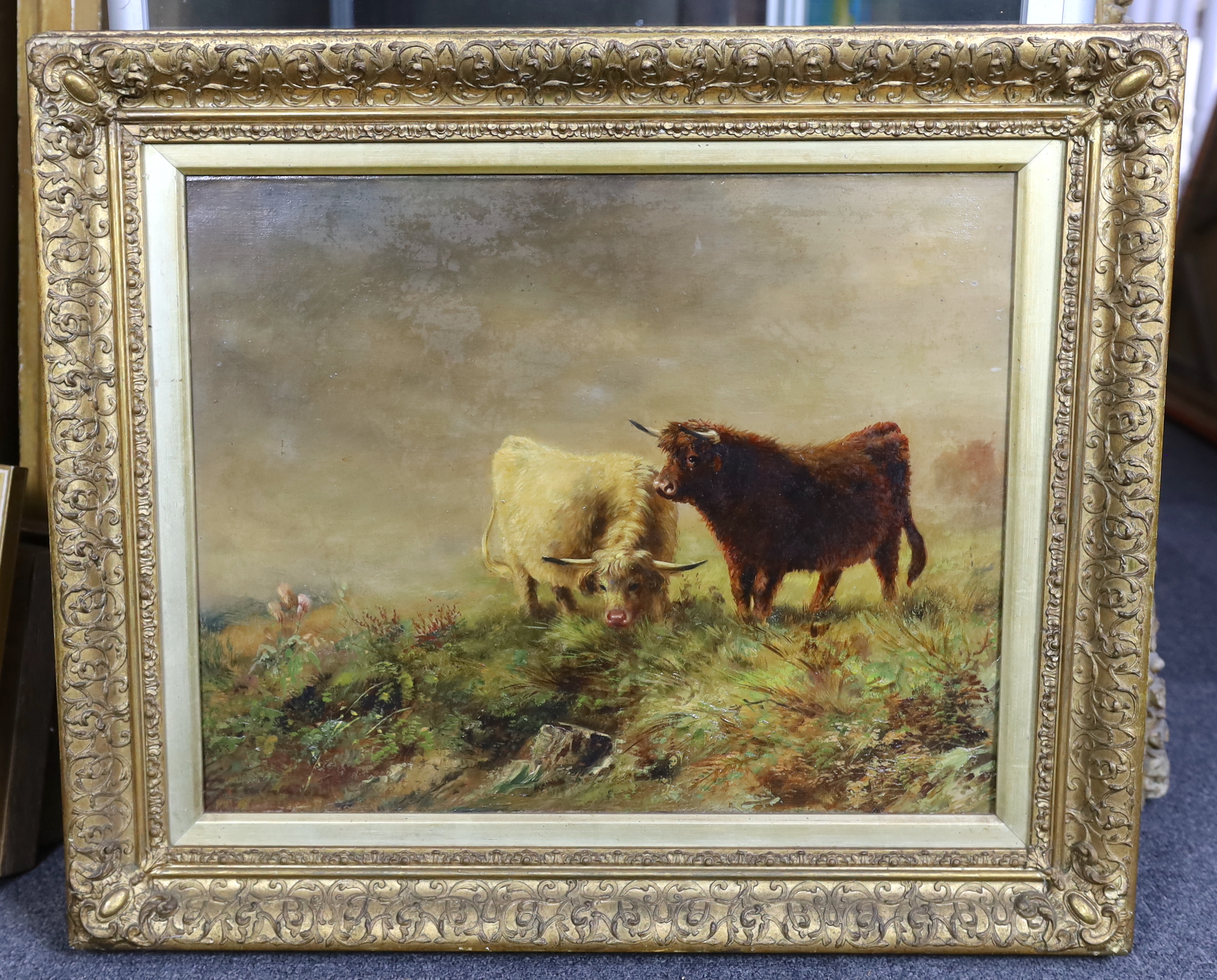 Graham, oil on canvas, Highland cattle in pasture, signed, 40 x 50cm